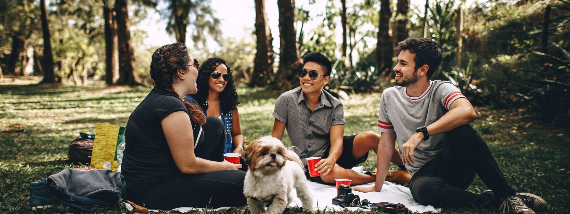 parque-pet-friendly