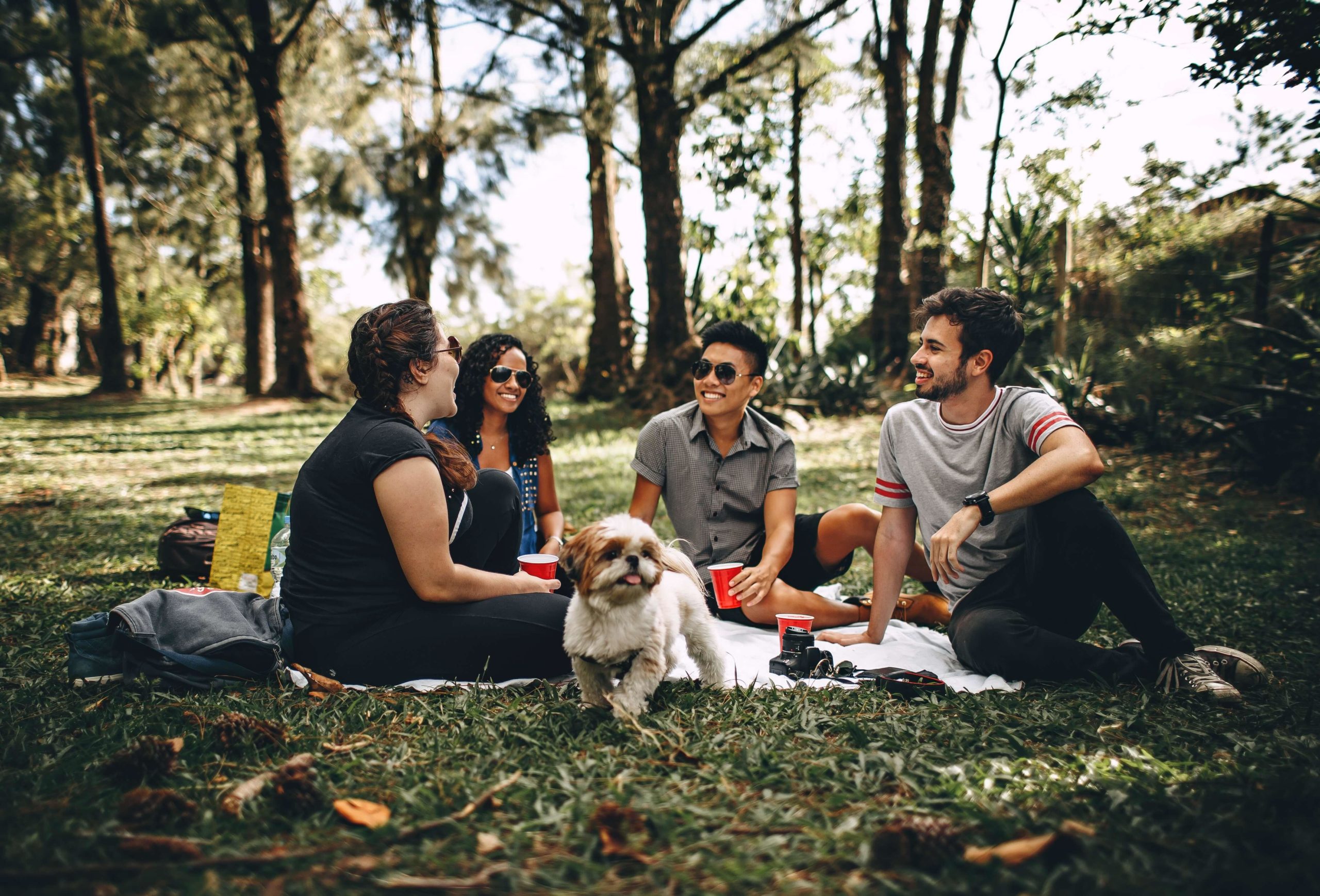 parque-pet-friendly